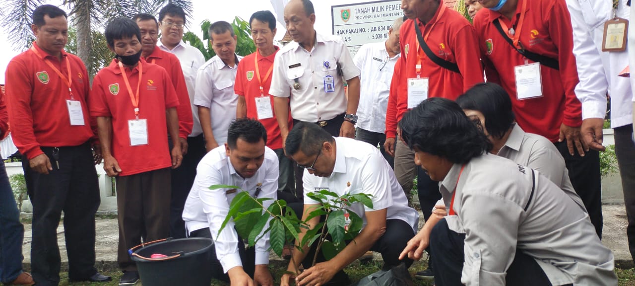 Disbun Kalteng Berikan Pelatihan Budidaya Kakao Bagi PPL
