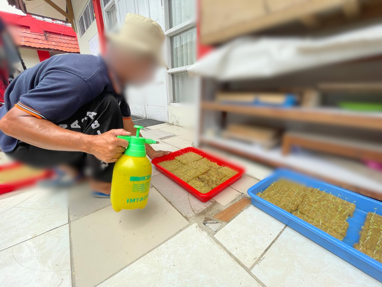 Warga Binaan Lapas Sampit Tingkatkan Keterampilan Bercocok Tanam