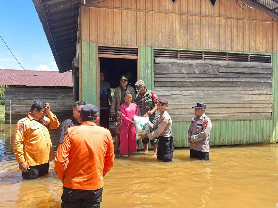 Lima Kabupaten di Kalteng Terendam Banjir, BPBD Imbau Warga Waspada