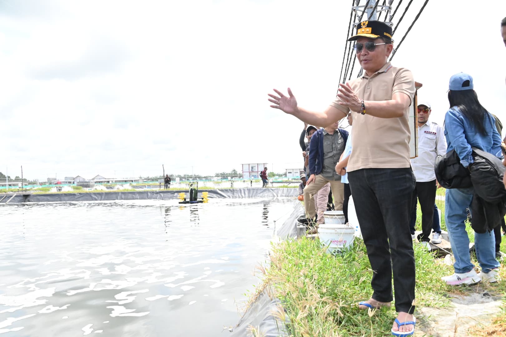 Gubernur Agustiar Dukung Pengembangan Tambak Udang Vaname
