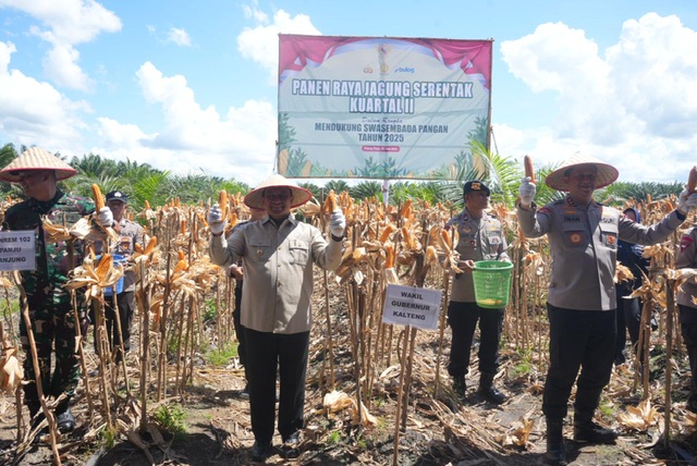 Wagub Kalteng Hadiri Panen Jagung Nasional di Pulang Pisau
