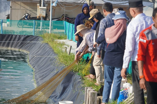 Pengembangan Shrimp Estate Didorong Jadi Basis Investasi Daerah
