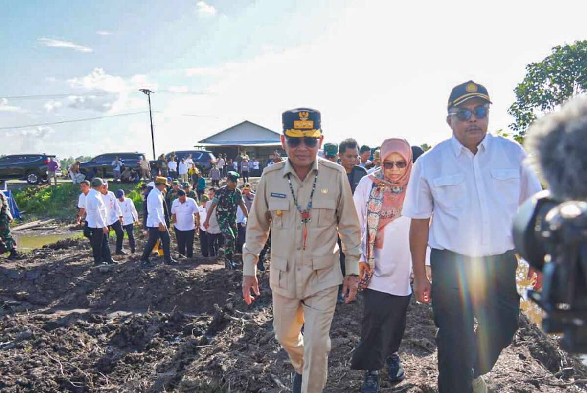 Gubernur Pastikan Proyek Cetak Sawah di Pulang Pisau Sesuai Target