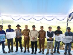 Demplot Pemupukan Berimbang Tahai Jaya Dongkrak Produktivitas Padi OPLA