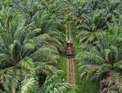 DPRD Soroti Konflik Kebun dan Mandeknya Sertifikasi ISPO di Kalteng