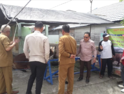 Ansyari Tinjau Distribusi Hewan Kurban di Barito Selatan, Tekankan Standar Kesehatan dan Akuntabilitas