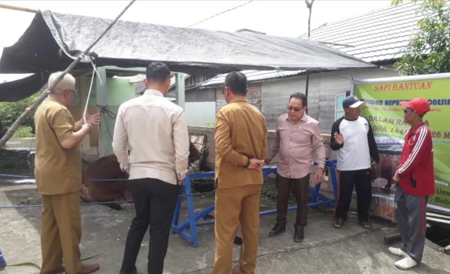 Ansyari Tinjau Distribusi Hewan Kurban di Barito Selatan, Tekankan Standar Kesehatan dan Akuntabilitas