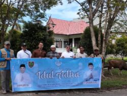 Wakil Ketua III Junaidi Pastikan Penyaluran Sapi Kurban Bantuan Gubernur Tepat Sasaran