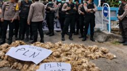 PLN Palangka Raya Dilempari Bangkai Ayam