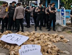 PLN Palangka Raya Dilempari Bangkai Ayam