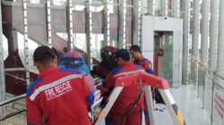 Sarang Lebah di Ketinggian 45 Meter Dievakuasi Damkarmat Palangka Raya