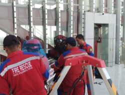 Sarang Lebah di Ketinggian 45 Meter Dievakuasi Damkarmat Palangka Raya