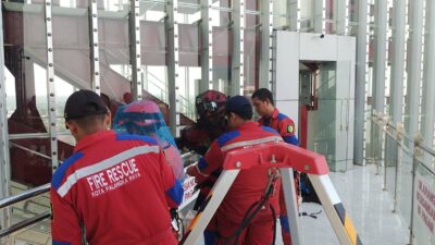Sarang Lebah di Ketinggian 45 Meter Dievakuasi Damkarmat Palangka Raya