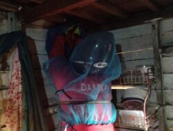 Sarang Lebah di Dapur Warga Berhasil Dievakuasi Tim Rescue