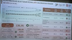 Daya Beli Petani Kalteng Menguat, NTP Juli 2026 Tembus 136,95