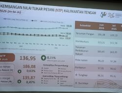 Daya Beli Petani Kalteng Menguat, NTP Juli 2026 Tembus 136,95