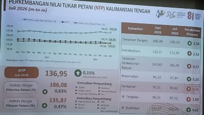 Daya Beli Petani Kalteng Menguat, NTP Juli 2026 Tembus 136,95