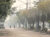 Kabut Asap Kian Pekat, Kalteng Belum Tetapkan Tanggap Darurat