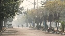 Kabut Asap Kian Pekat, Kalteng Belum Tetapkan Tanggap Darurat